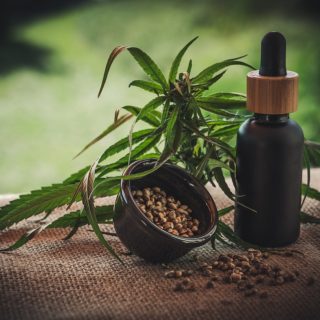 cannabis seed