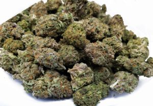 cannabis strain